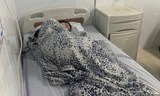 Học sinh hiện đang được điều trị tại bệnh viện. 