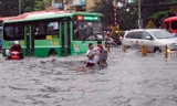 Triều cường đạt đỉnh tháng 11, TPHCM nguy cơ ngập úng 