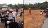 Lại xuất hiện clip dựng trò 'sốt đất', nô nức phân lô bán nền như đi hội