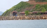 Khánh Hòa: Thu hồi 56 dự án hơn 300 ha, chấp thuận triển khai khu công nghiệp 300 ha