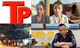 Bản tin Hình sự: Triệt phá đường dây môi giới mại dâm ở Bảo Lộc