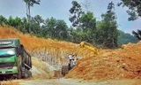 Loạt doanh nghiệp ở Phú Thọ bị xử phạt vì san gạt hạ cốt và xây dựng nhà xưởng trái phép