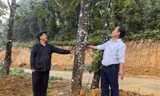 Chuyện người hiến đất mở đường ở huyện vùng cao Lào Cai
