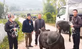 Kiến nghị thu hồi hơn 200 triệu đồng chi sai trong chương trình mục tiêu quốc gia ở Thái Nguyên
