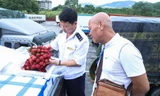 Ưu tiên 'luồng xanh' cho xe chở quả vải tươi từ Lào Cai sang Trung Quốc