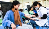 Sinh viên Lào Cai tham gia hiến máu Chủ nhật Đỏ