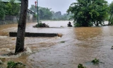 Mưa to gây lũ, ngập lụt nhiều nơi ở Hà Giang