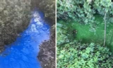 Dòng suối kỳ lạ, đổi màu nhiều lần trong ngày