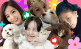 Phát ghen với các "boss" nhà BLACKPINK: Đồ hiệu đắp đầy người, lên bìa tạp chí dễ dàng
