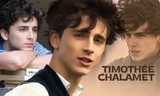 Điển trai, tài năng, chăm chỉ: Timothée Chalamet xứng đáng có triệu người yêu thương