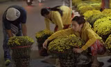 Thùy Tiên: 'Nhiều người trẻ quên về nhà, cũng có người muốn sum vầy gia đình nhưng không thể'