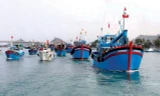 Những lưu ý với ngư dân khi tham gia khai thác trên các vùng biển 