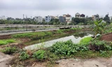 Một khu đất đấu giá tại huyện Đan Phượng, Hà Nội