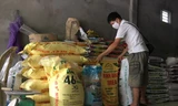 Giá phân bón tăng liên tục khiến các đại lý thay đổi thông báo như chong chóng Ảnh: Minh Thành