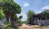 Xóm chài người Huế bên dòng sông Krông Ana