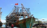 Tàu cá xa bờ ở Quảng Nam gặp khó khăn