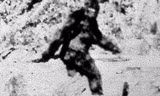 Nhân vật huyền thoại Bigfoot