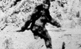 Nhân vật huyền thoại Bigfoot