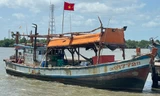 Tịch thu giấy phép hoạt động 7 tàu cá giấu thiết bị giám sát hành trình