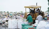 Cà Mau đứng trước nguy cơ 'vỡ trận' rác thải 