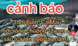 Thông tin thất thiệt ‘12 con cá sấu xổng chuồng’: Chỉ đạo công an điều tra
