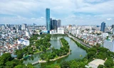 Ngắm những 'lá phổi xanh' từ trên cao: Khi công viên hóa thành mảng xanh diệu kỳ