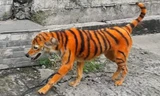 chó