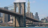 Ước mơ về cây cầu Brooklyn