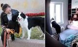 Xem lại camera gia đình, cô gái bất ngờ khi biết chú chó ở nhà làm những gì khi cô đi làm