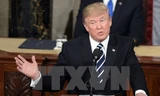 Tổng thống Mỹ Donald Trump phát biểu trước lưỡng viện Quốc hội ở Washington, DC ngày 28/2. (Nguồn: AFP/TTXVN)