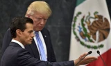 Tổng thống Mexico Enrique Peña Nieto và Tổng thống Mỹ Donald Trump gặp nhau hồi tháng 1/2016. Ông Trump khi đó vẫn là ứng viên tranh cử tổng thống Mỹ. Một trong những lời hứa gây sốc nhất của ông chính là xây dựng bức tường biên giới ngăn cách Mỹ với Mexi