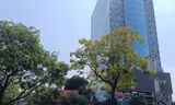 Xảy ra động đất, làm gì khi ở trên tầng cao?