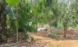 Rẫy cà phê nơi phát hiện thi thể nam thanh niên