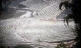 Ruộng bậc thang Sapa 'khoác áo' tuyết kỳ ảo