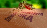 Virus Zika sẽ lây lan rất nhanh, có thể gây thành dịch lớn do cộng đồng chưa có miễn dịch. Ảnh minh họa