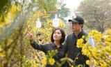 Chợ hoa xuân ở Hà Nội nhộn nhịp ngày 26 Tết