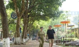 Ngắm những con đường xanh mướt giữa Thủ đô 'giải nhiệt' ngày nắng nóng