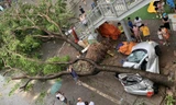 Hàng loạt ô tô ở Hà Nội bị đè bẹp sau khi bão số 3 quét qua