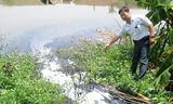 Trục xuất doanh nghiệp khỏi địa bàn nếu còn xả thải ô nhiễm