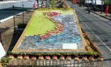 Ấn tượng kỷ lục xếp hình con đường lúa gạo Việt Nam 1,3 km