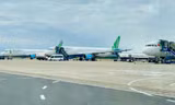 Chủ tịch Bamboo Airways xin từ nhiệm