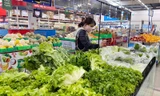 Rau không đảm bảo vào siêu thị đang khiến người dân mất niềm tin