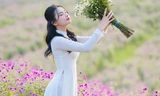 Giới trẻ mê mẩn check-in với thảm hoa tím giữa lòng Hà Nội