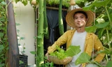 Chàng trai biến sân thượng ở TPHCM thành 'vườn chữa lành' sum sê