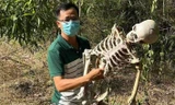 Đi rừng nhặt củi, tá hỏa phát hiện bộ xương