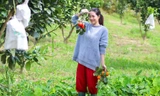 Những người trẻ sống ở cả thành phố và vùng quê