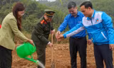 Tuổi trẻ Hòa Bình phát động Tết trồng cây