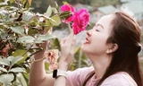 'Thủ phủ hoa hồng' ở Đà Lạt đắt hàng dịp Valentine dù giá tăng mạnh