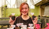 Nuôi cây ăn thịt trên sân thượng, cô gái 9X kiếm gần 20 triệu đồng/tháng