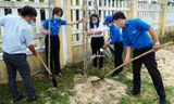 Tuổi trẻ TT-Huế tích cực hưởng ứng chiến dịch thanh niên tình nguyện hè 